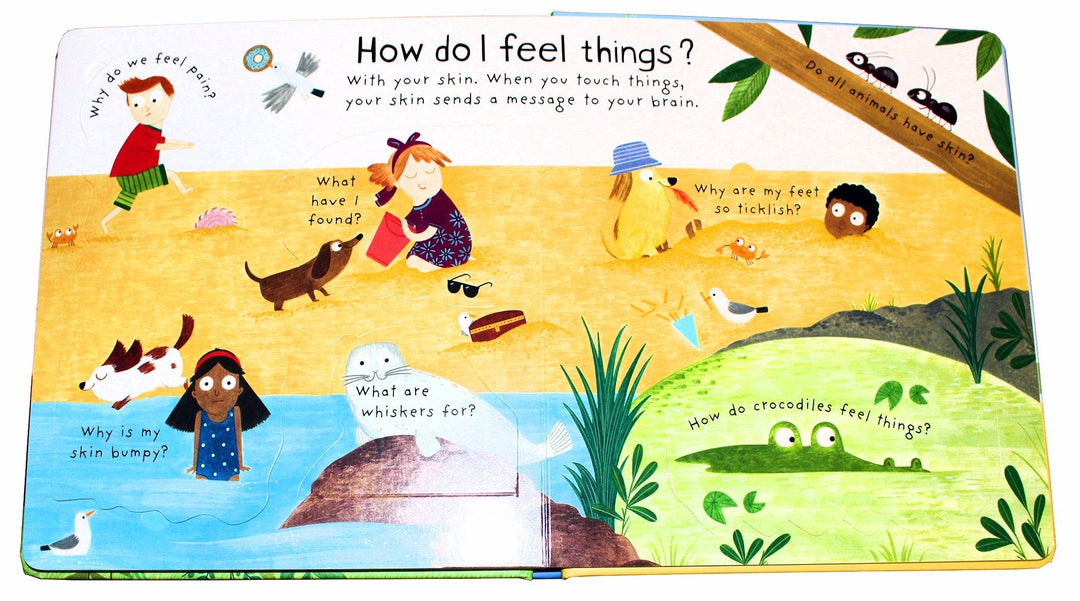 Usborne Lift-the Flap Questions and Answers 5 Books Collection Box Set Series 2 - Ages 0-5 - Hardback 0-5 Usborne