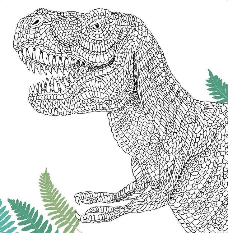 Dinosauria Dinosaurs to Colour and Facts to Discover - 4+ - Paperback by Claire Scully 4+ Buster Books