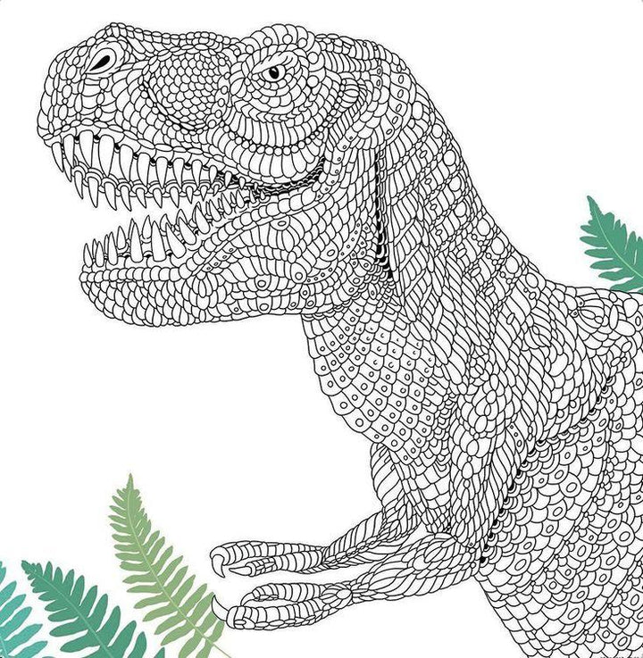 Dinosauria Dinosaurs to Colour and Facts to Discover - 4+ - Paperback by Claire Scully 4+ Buster Books