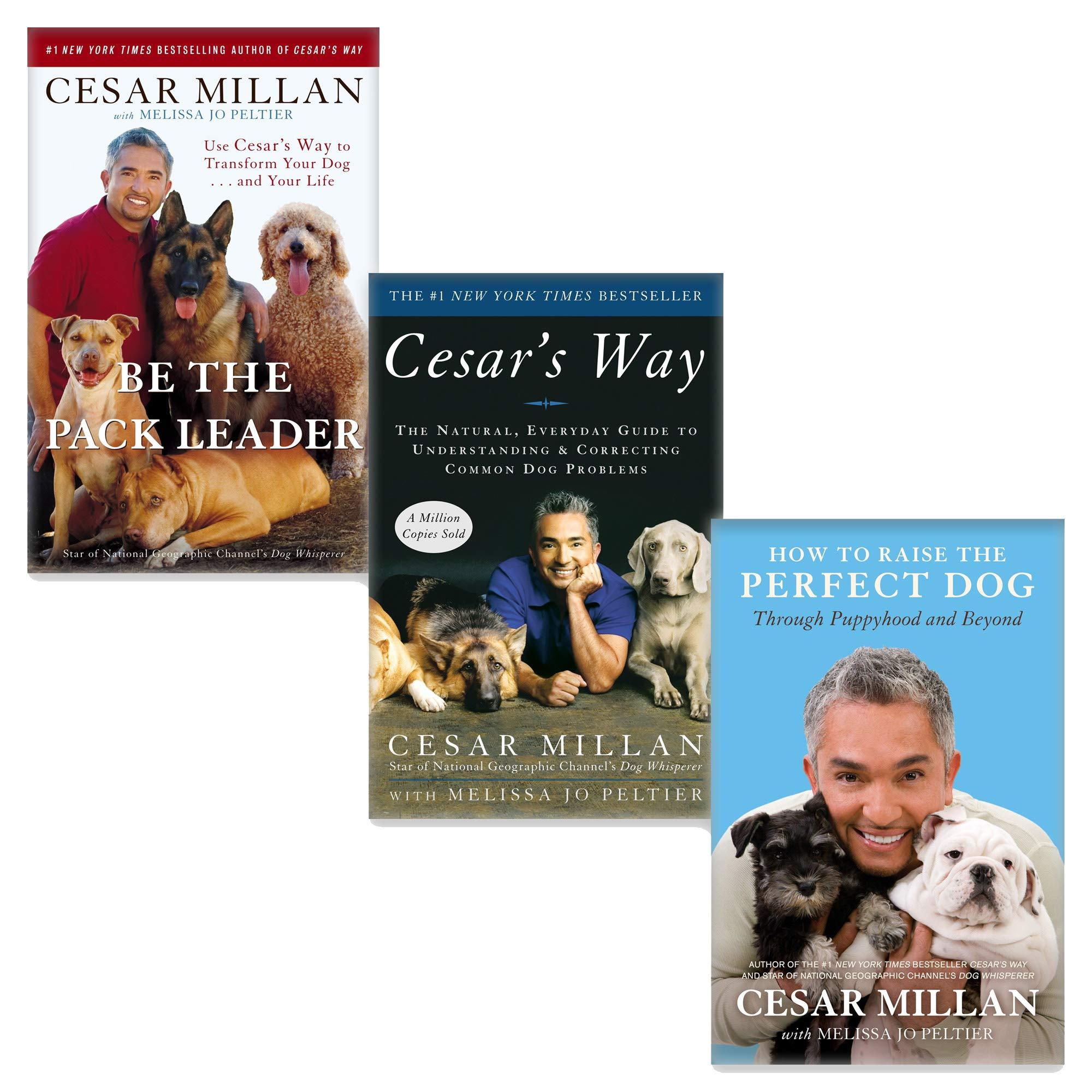 Cesar Milan 3 Books Young Adult Pack Non Fiction Collection Paperback Set - St Stephens Books