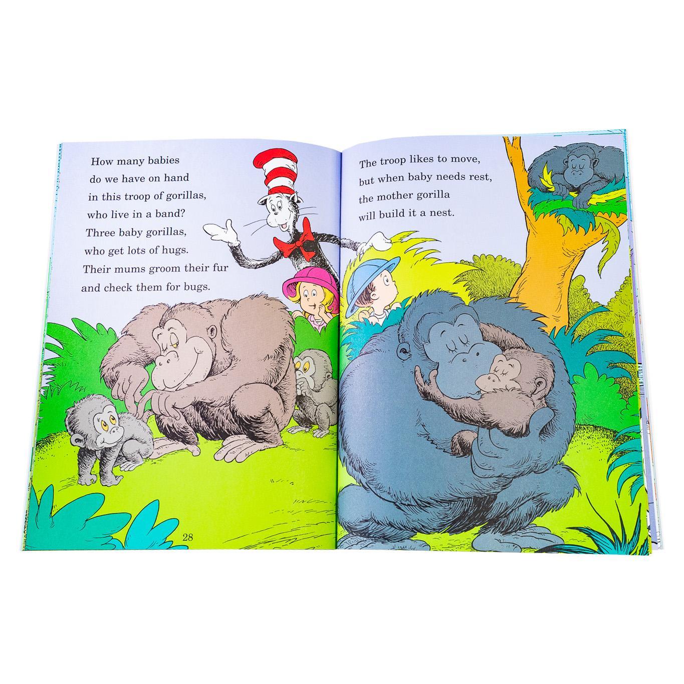 美品 The Cat in the Hat's Learning Library The Cat in the Hat's Learning Library Boxed Set by Tish Rabe