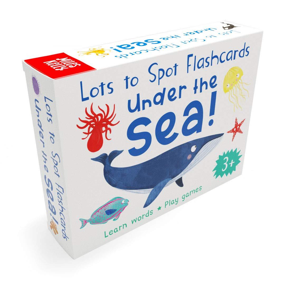 Lots to Spot Flashcards Tray 4 Pack Busy Animals, Dinosaurs, Bugs, Under the Sea- Hardcover - Age 3-5 3+ Miles Kelly Publishing