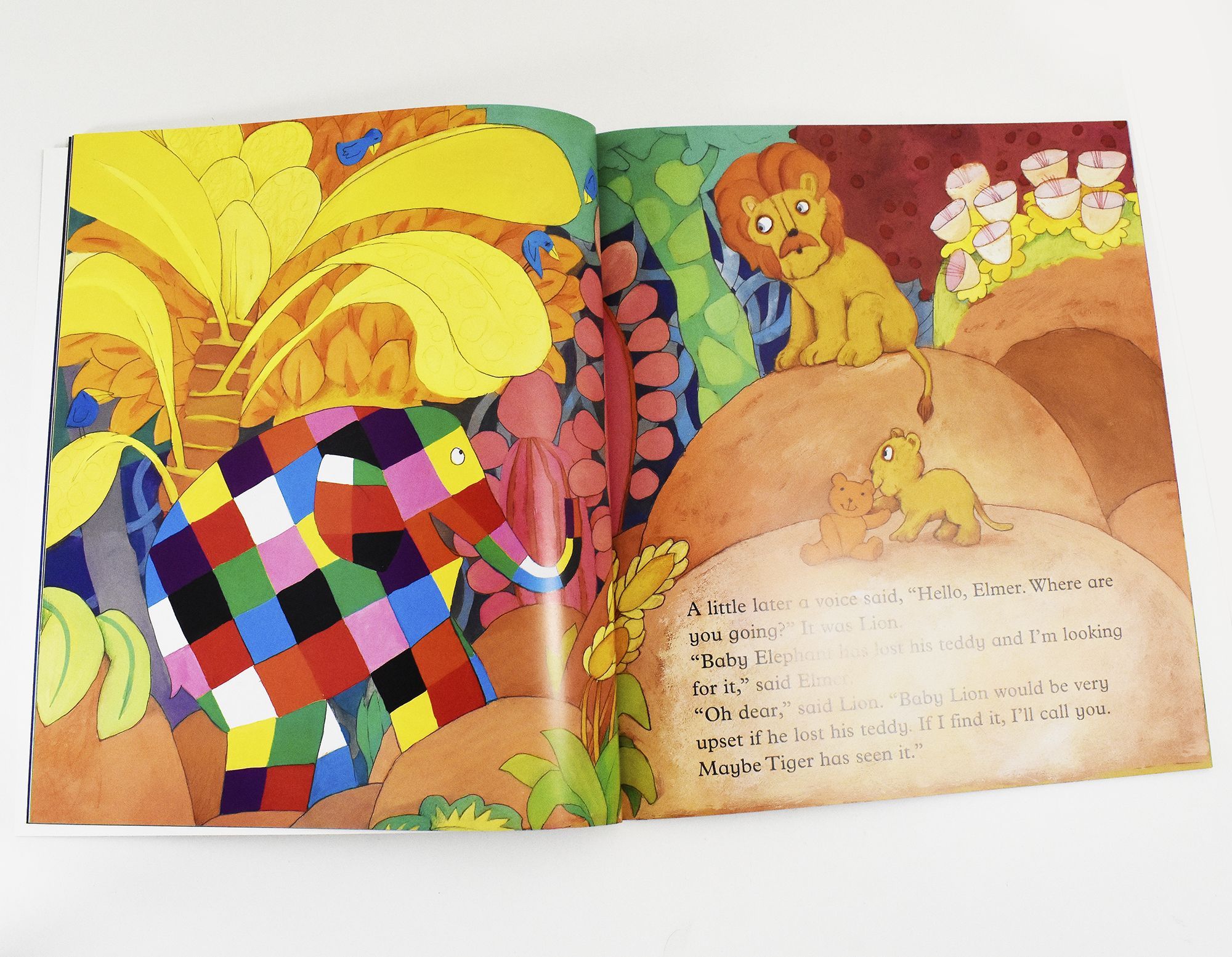 Elmer By David McKee - 10 Picture Books – American Bookworm