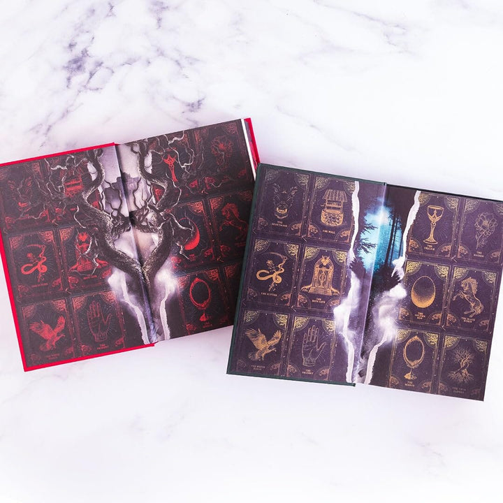 The Shepherd King Series By Rachel Gillig: 2 Books Collectors Edition with Sprayed Edges - Fiction - Hardback