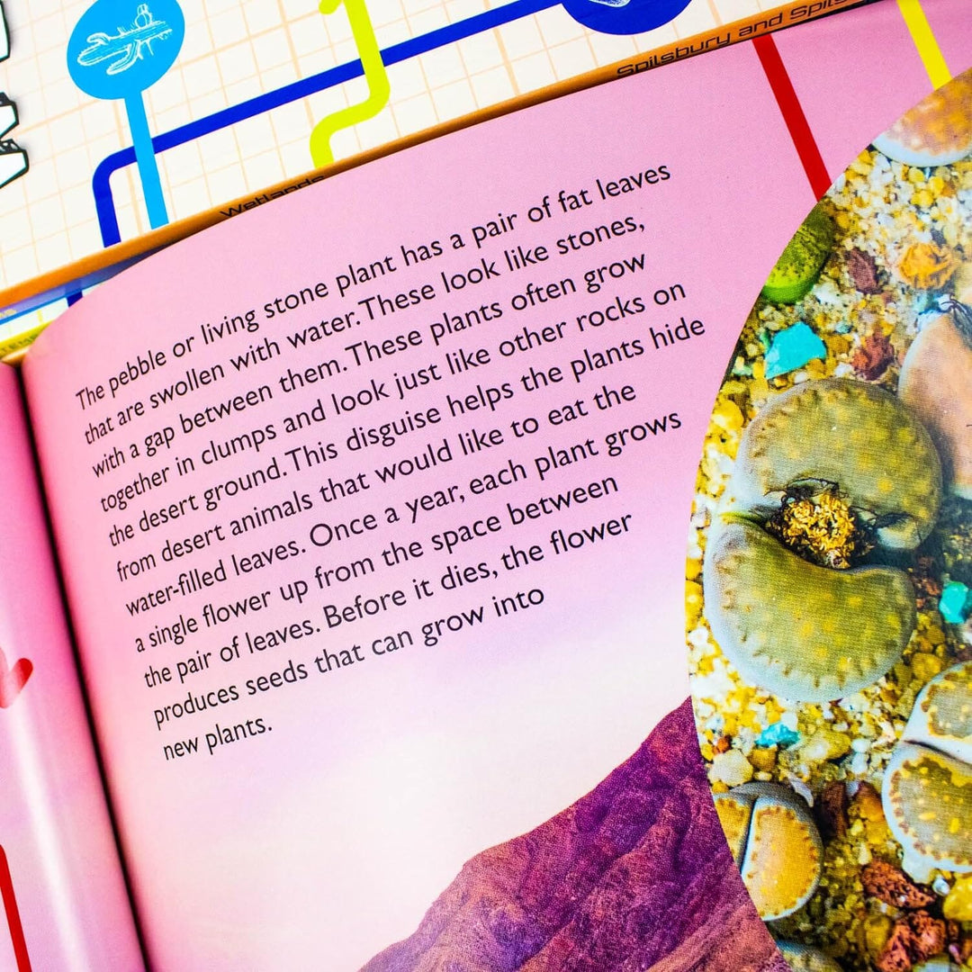 Flowchart Explorers Ecosystems Series 6 Books Collection Set - Ages 9-11 - Paperback