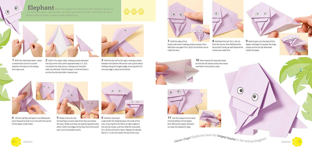 Fun Origami Pets & Dino 2 Books Set By Mari Ono & Hiroaki Takai - Paperback - Age 5-7 5-7 CICO Kidz