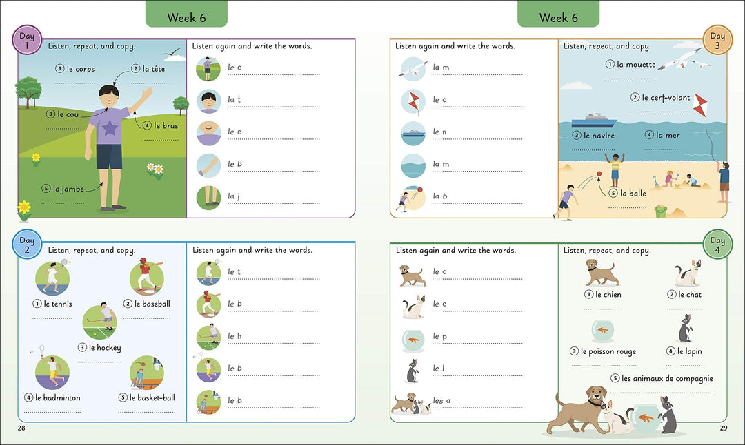 French for Everyone Junior 5 Words a Day: Learn and Practise 1,000 French Words By DK - Ages 6-9 - Flexibound
