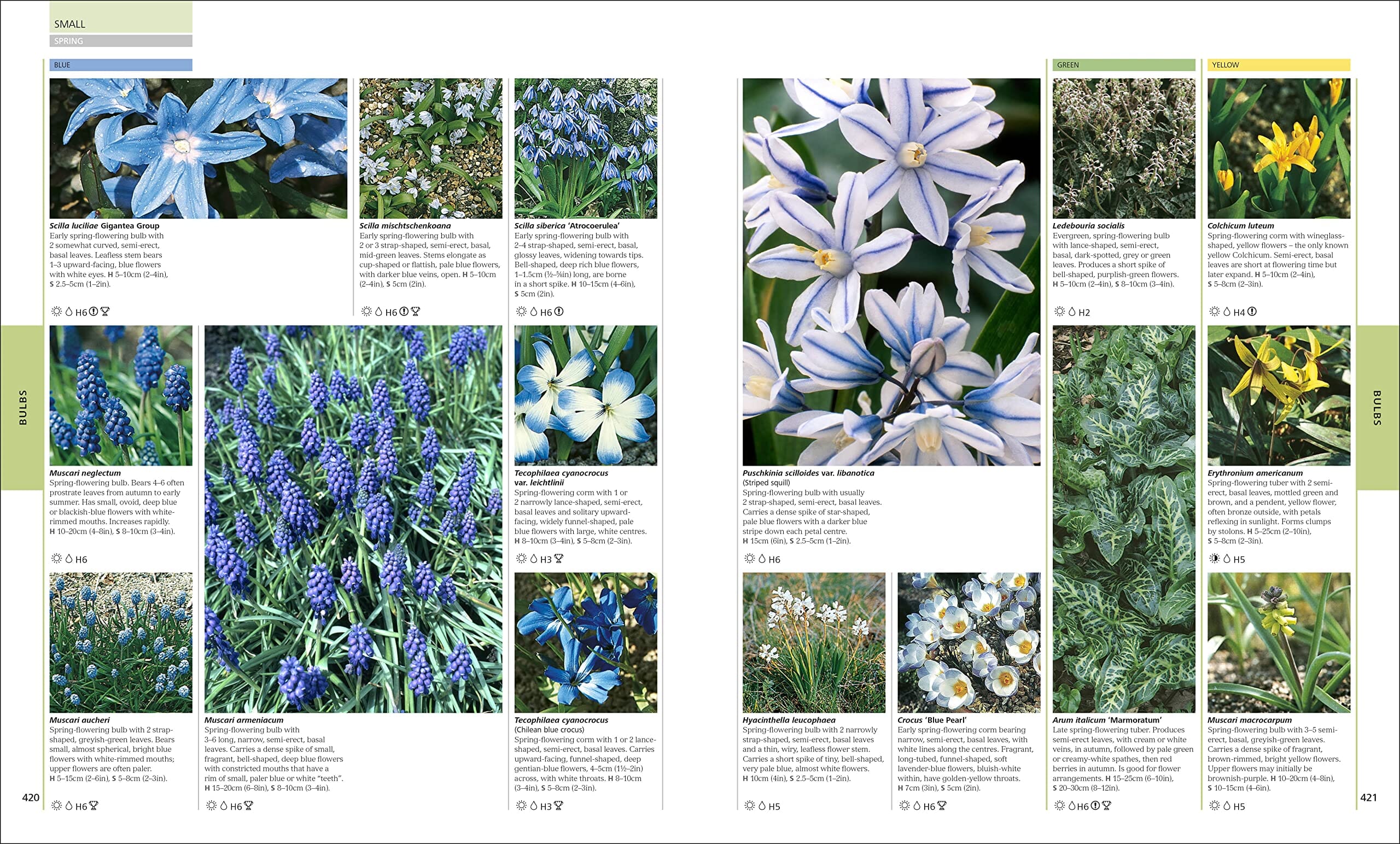 RHS Encyclopedia of Plants and Flowers by Christopher Brickell