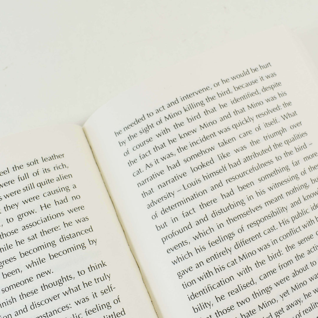 Outline Trilogy by Rachel Cusk 3 Books Collection Set - Fiction - Paperback