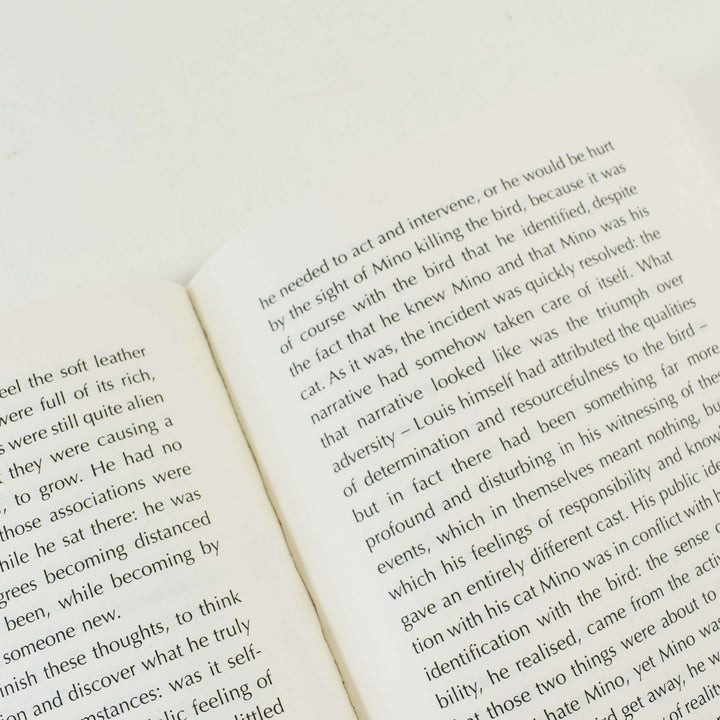 Outline Trilogy by Rachel Cusk 3 Books Collection Set - Fiction - Paperback