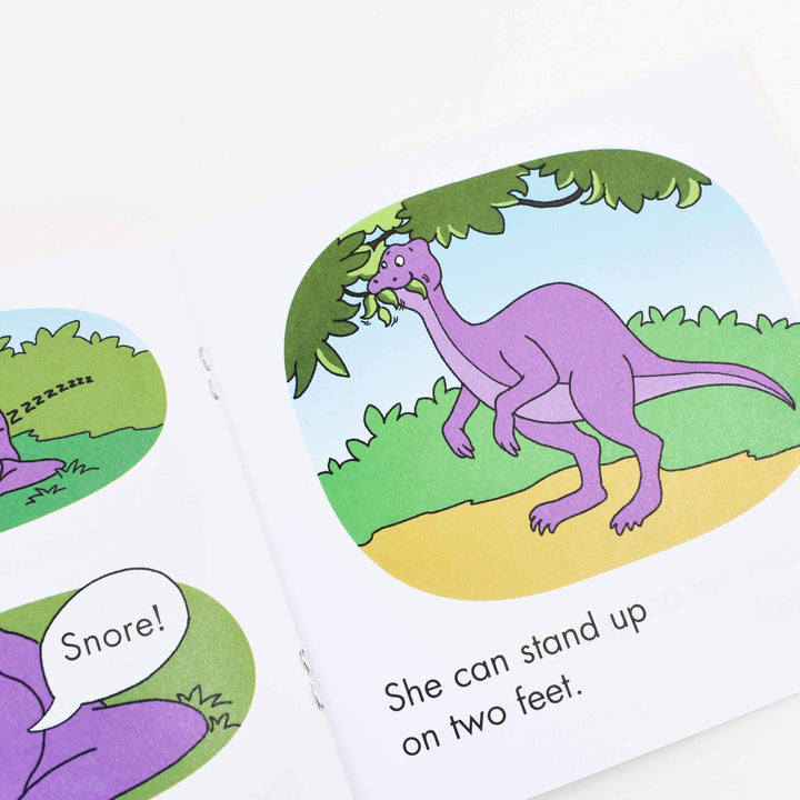 First Little Readers: Guided Reading Level - D (Parent Pack) 25 Books Box Set By Liza Charlesworth - Ages 5-7 - Paperback