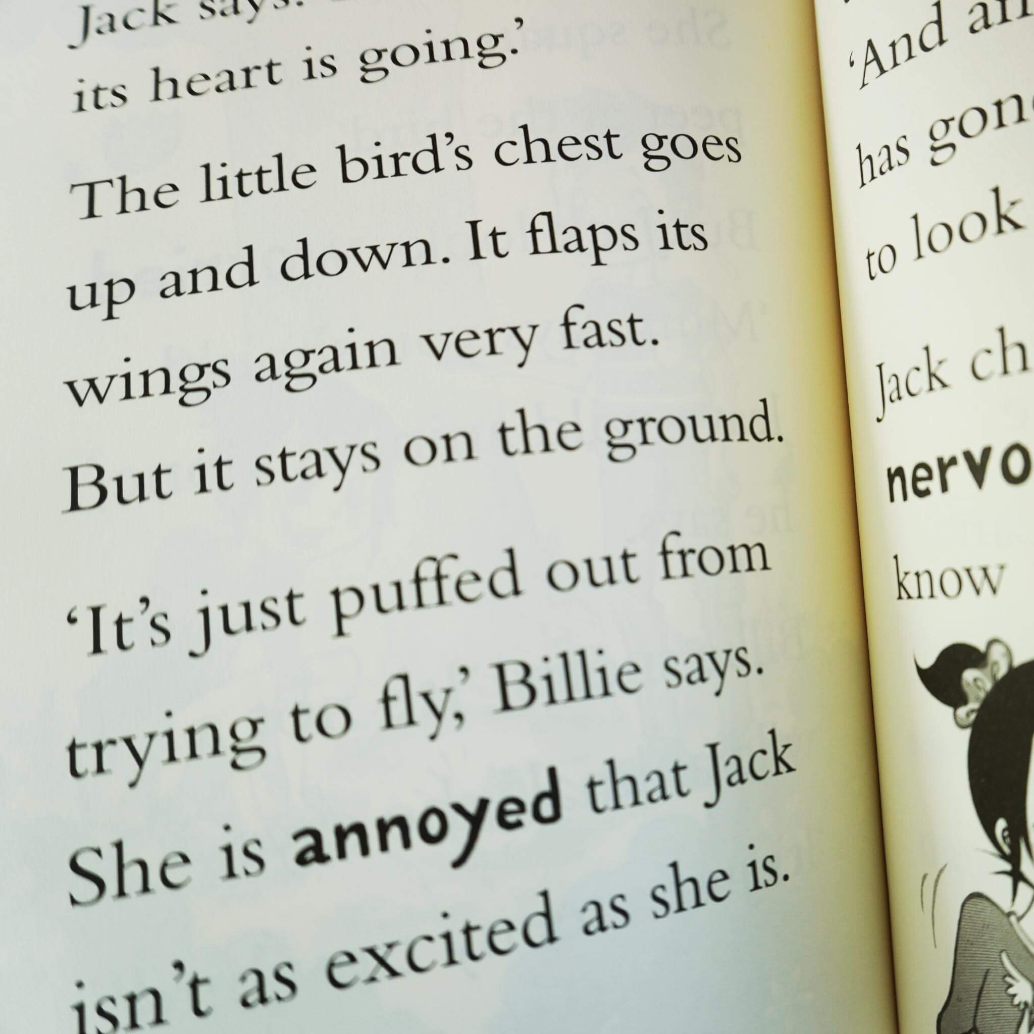 Billie B Brown The Ultimate Collection All 25 Books Set by Sally