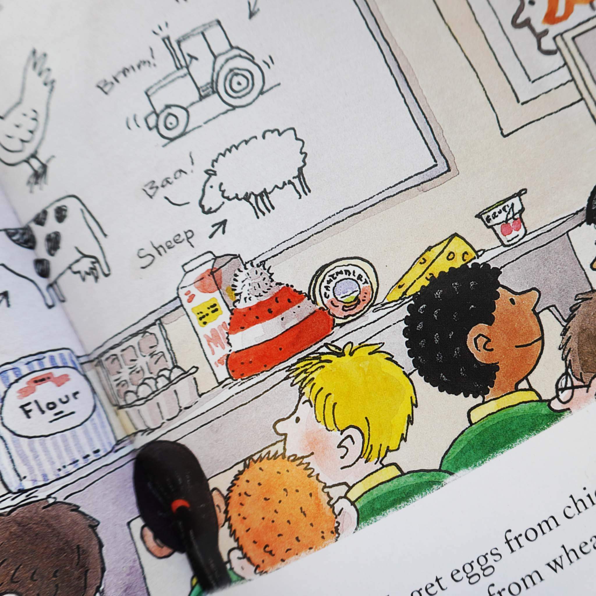 First Experiences with Biff, Chip & Kipper 8 Books Collection By