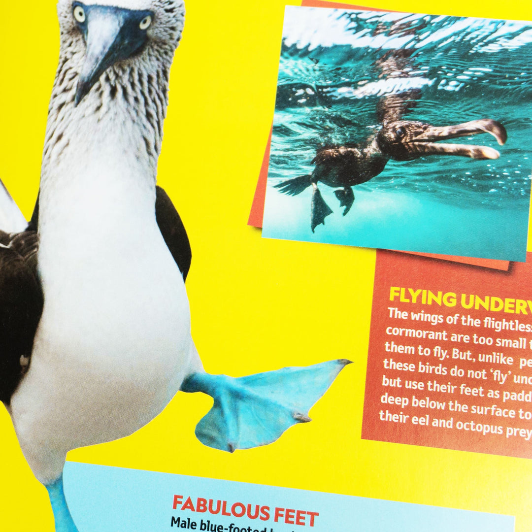 Weird but true! 2023 & 2024: wild and wacky, facts and photos! by National Geographic Kids 2 Books Collection Set - Ages 7-10 - Hardback