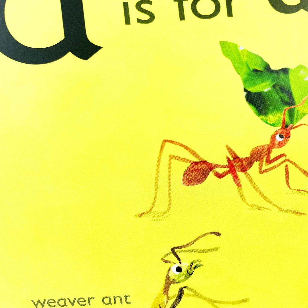 The Animal Alphabet Library Collection By DK: 26 Books Set (A To Z) - Ages 3+ - Board Book