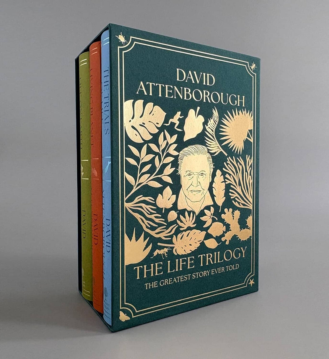 The Life Trilogy Boxset: The Greatest Story Ever Told by David Attenborough (Centenary Edition) - Non Fiction - Hardback