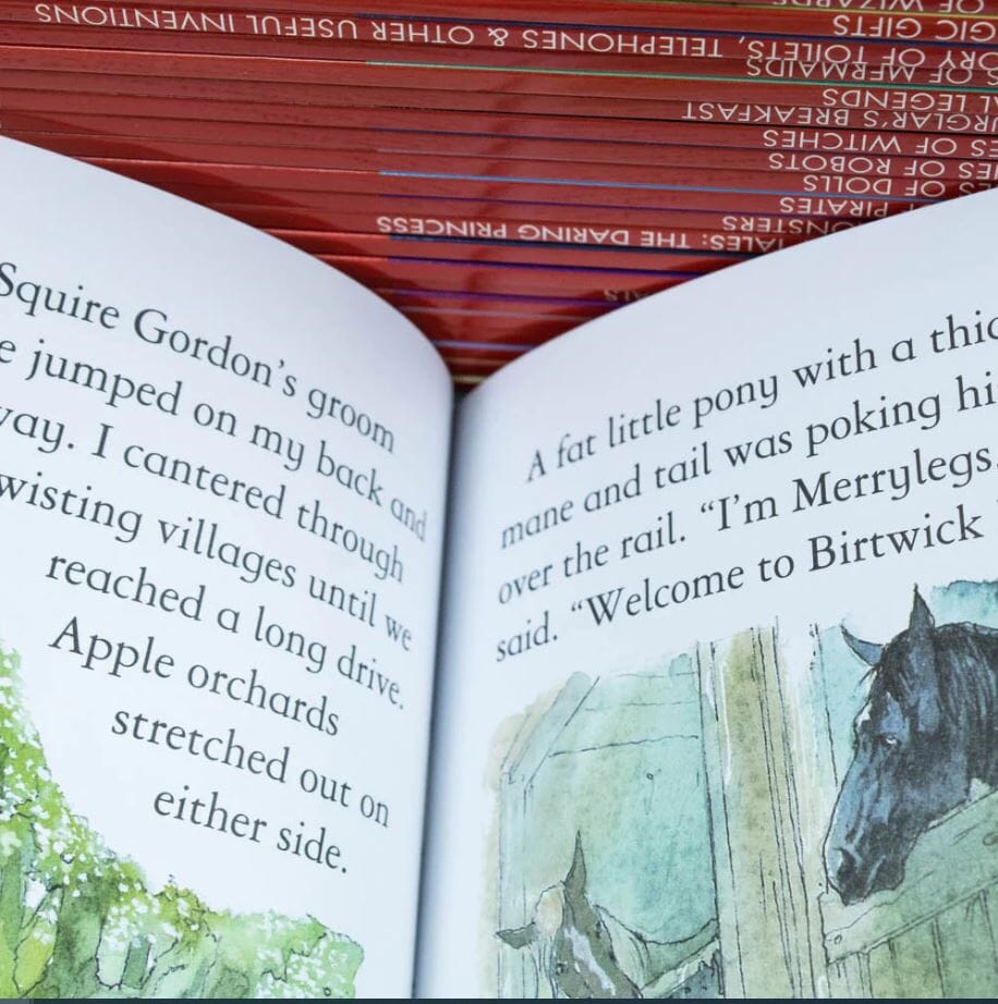 Usborne Reading Collection - 40 Books – American Bookworm