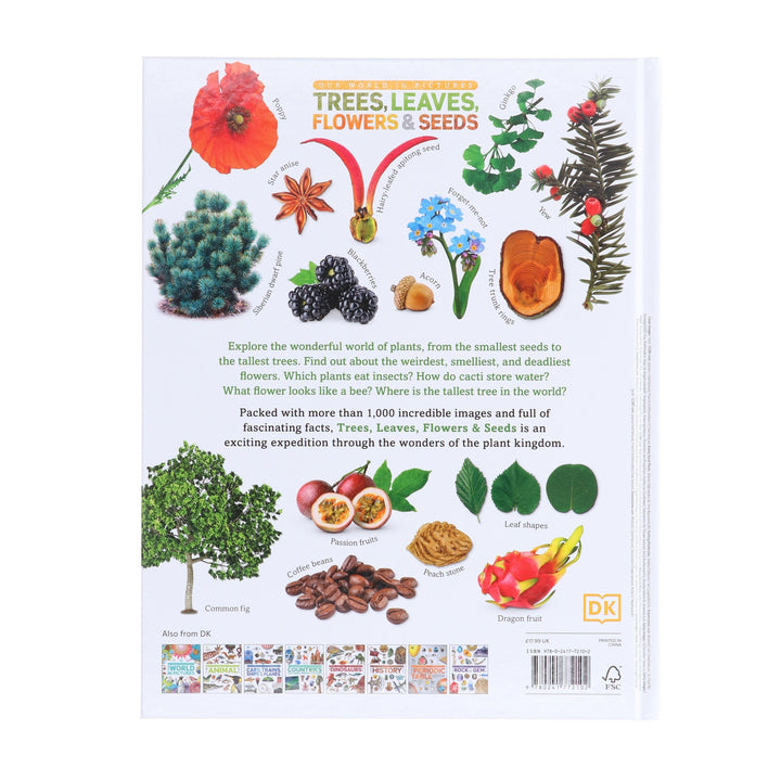 Our World in Pictures: Trees, Leaves, Flowers & Seeds: A visual encyclopedia of the plant kingdom by DK - Non Fiction - Hardback