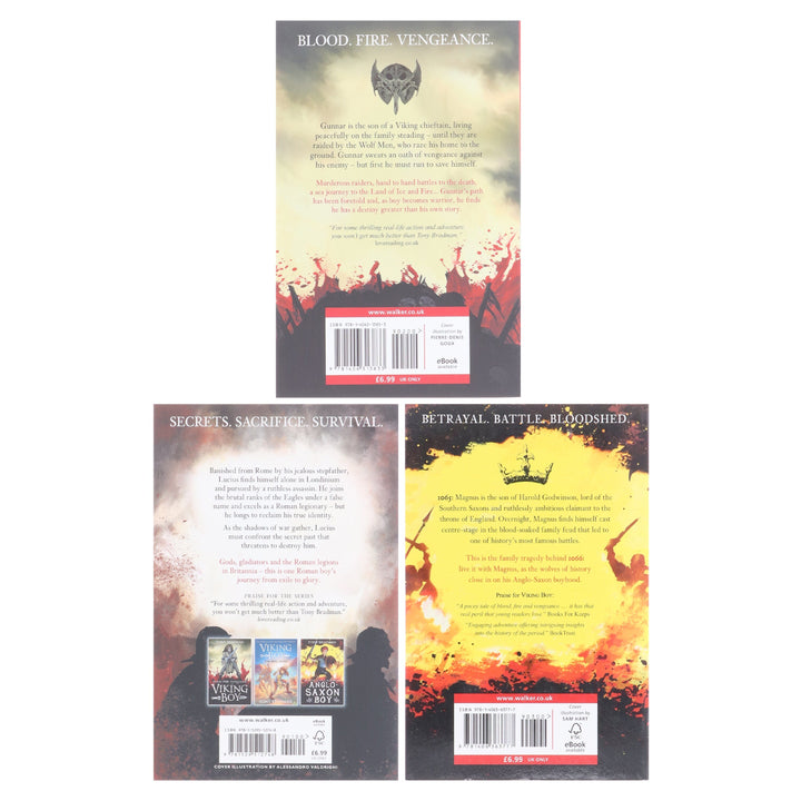 Viking Boy Series by Tony Bradman Illustrated 3 Books Collection Set - Ages 9-12 - Paperback