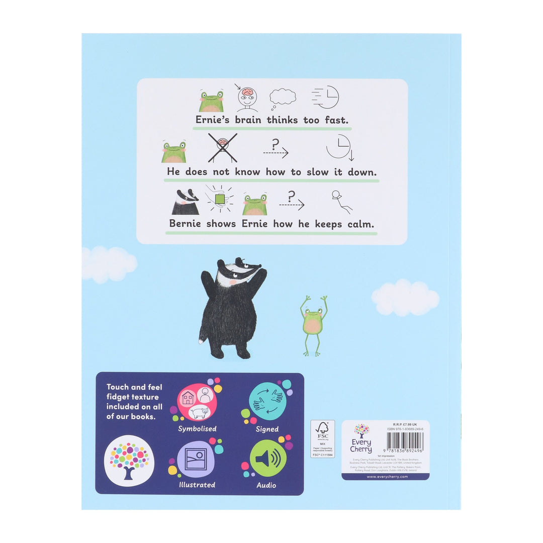 Ernie's Mindful Journey: Accessible Symbolised Edition - A Story of Mindfulness & Self-Care by Kirsty Topley - Ages 7+ - Paperback