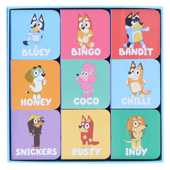 Bluey: Big Box of Little Books 9 Mini Books Box Set - Ages 3+ - Board Book