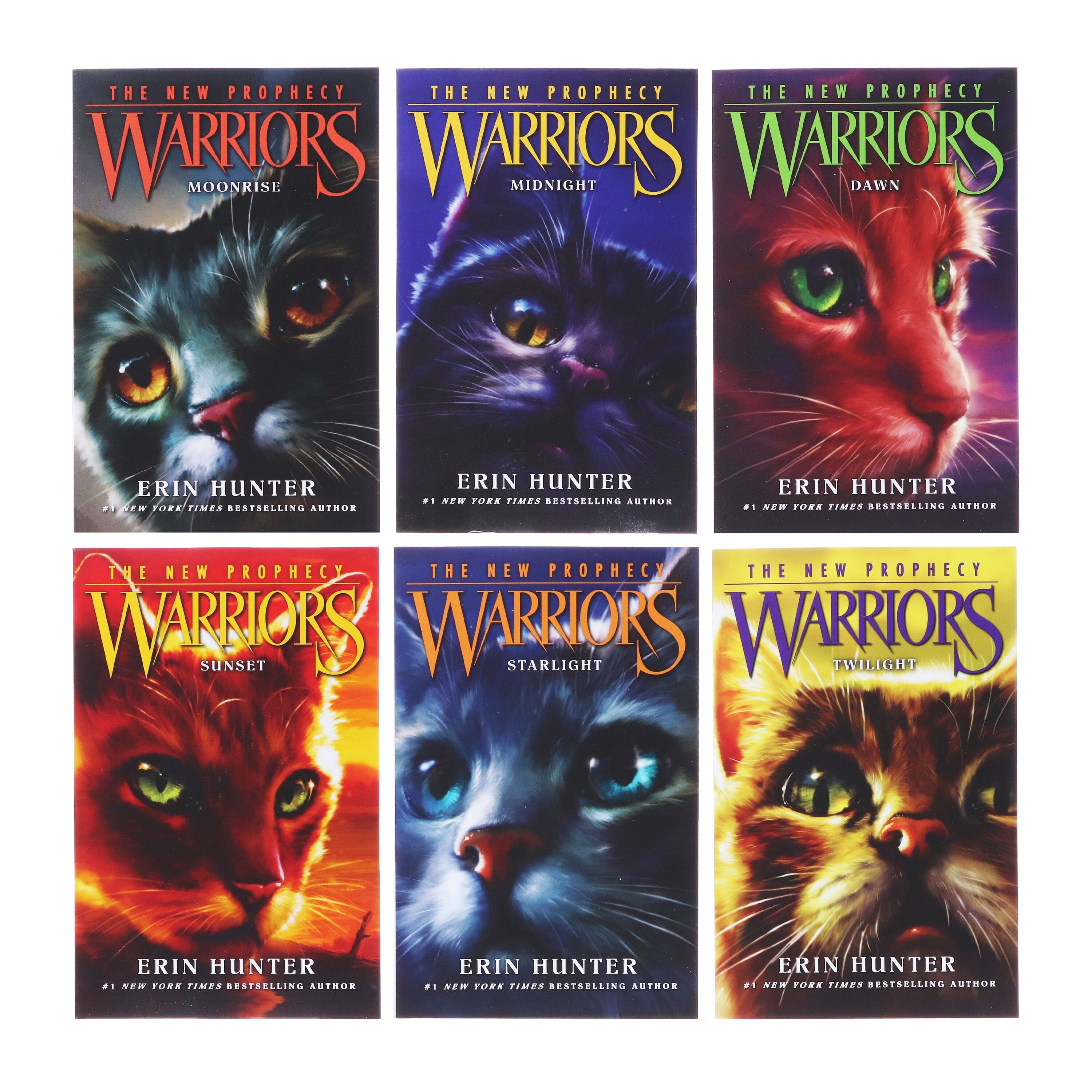 Warriors: The New Prophecy 2 6冊セット Warriors: The New Prophecy Box Set: Volumes 1 to 6: The