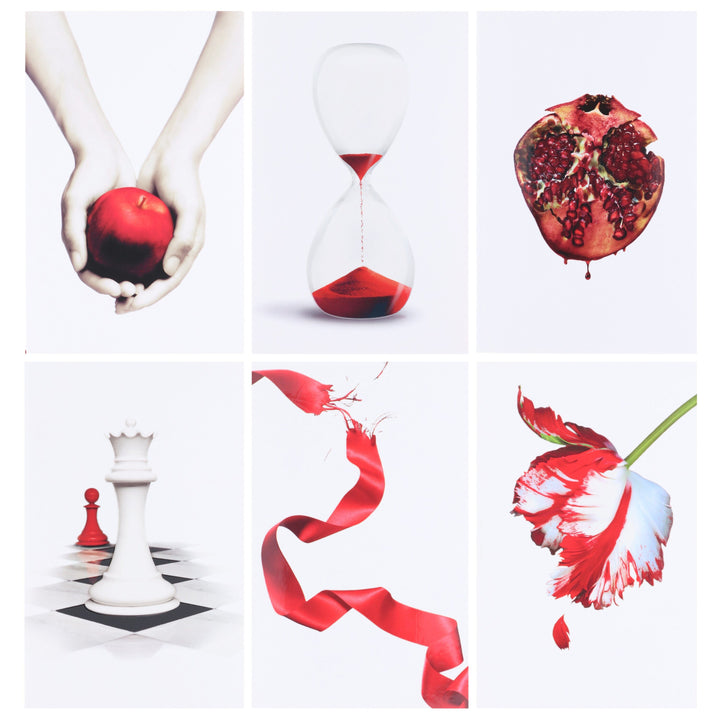 The Twilight Saga By Stephenie Meyer: 6 Books Collection Box Set - Ages 13+ - Paperback