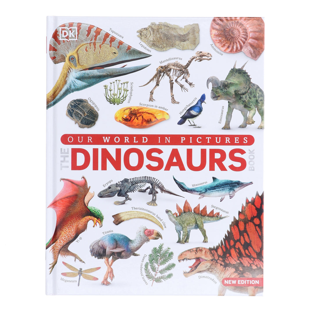 Our World in Pictures: The Dinosaurs Book by DK - Ages 9-12 - Hardback