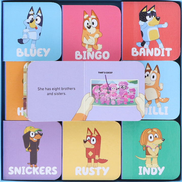 Bluey: Big Box of Little Books 9 Mini Books Box Set - Ages 3+ - Board Book