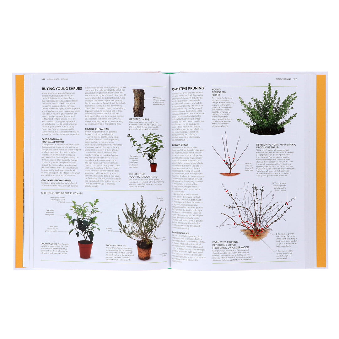 RHS Pruning and Training (New Edition): What, When, and How to Prune - Non Fiction - Hardback