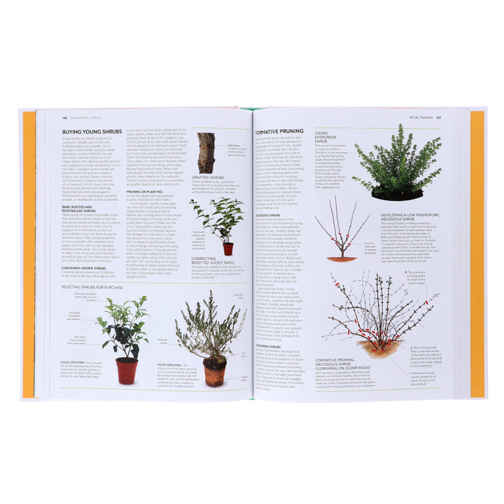RHS Pruning and Training (New Edition): What, When, and How to Prune - Non Fiction - Hardback