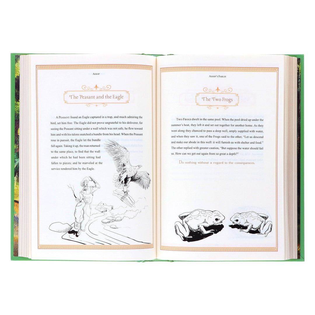 Aesop's Fables By Aesop - Ages 14+ - Leather Bound/Hardback