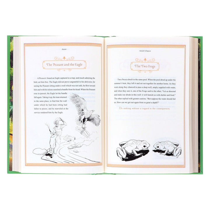 Aesop's Fables By Aesop - Ages 14+ - Leather Bound/Hardback