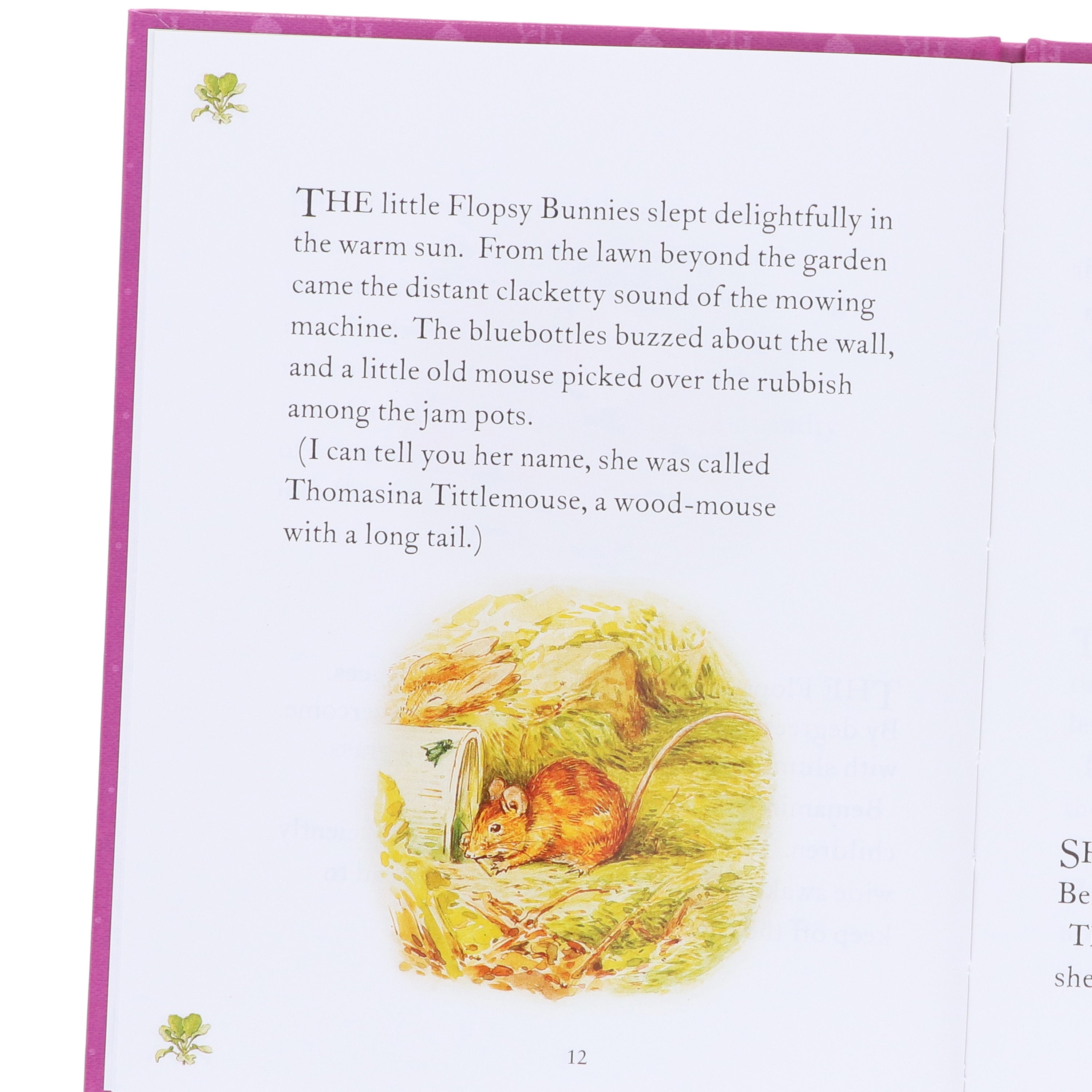 Peter Rabbit Library Beatrix Potter 10 Books – American Bookworm