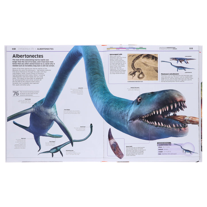 Knowledge Encyclopedias Collection By DK: 5 Books Set - Ages 9-12 - Hardback