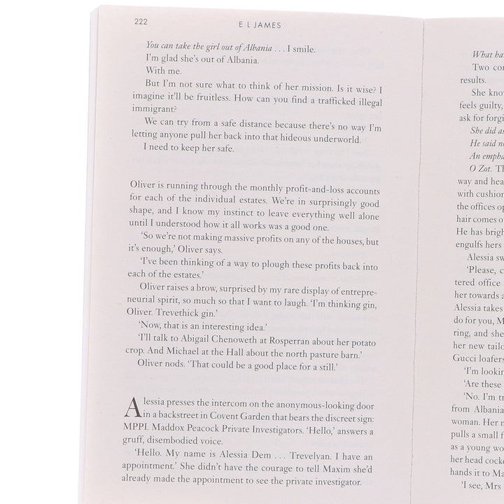 The Mister & The Missus By E L James: 2 Books Collection Set - Fiction - Paperback