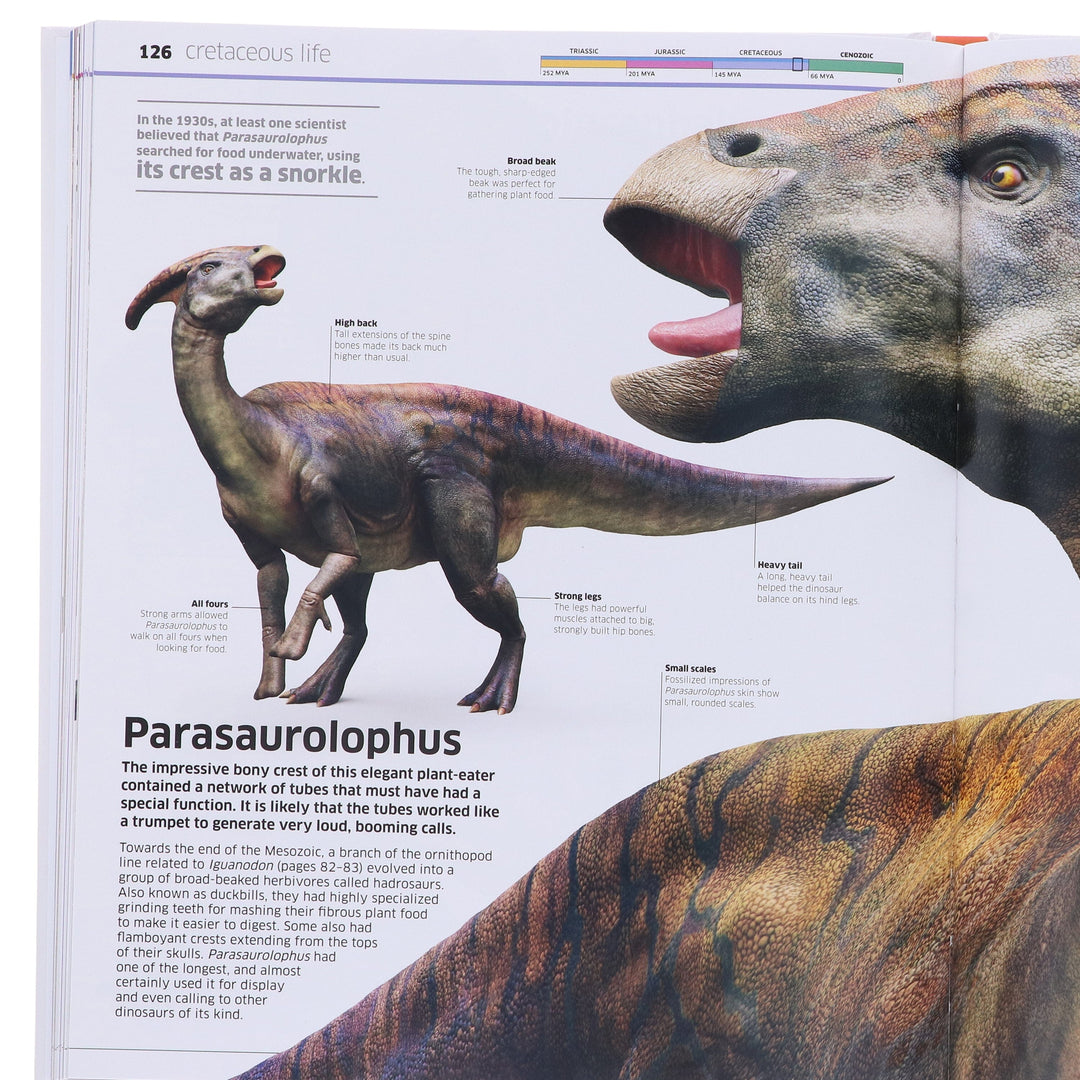 Knowledge Encyclopedia Dinosaur! Over 60 Prehistoric Creatures as You've Never Seen Them Before: By John Woodward - Ages 9+ - Hardback