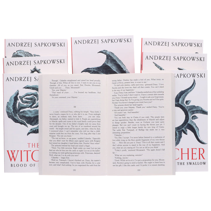 The Complete Witcher Series By Andrzej Sapkowski 8 Books Box Set Collection - Fiction - Paperback