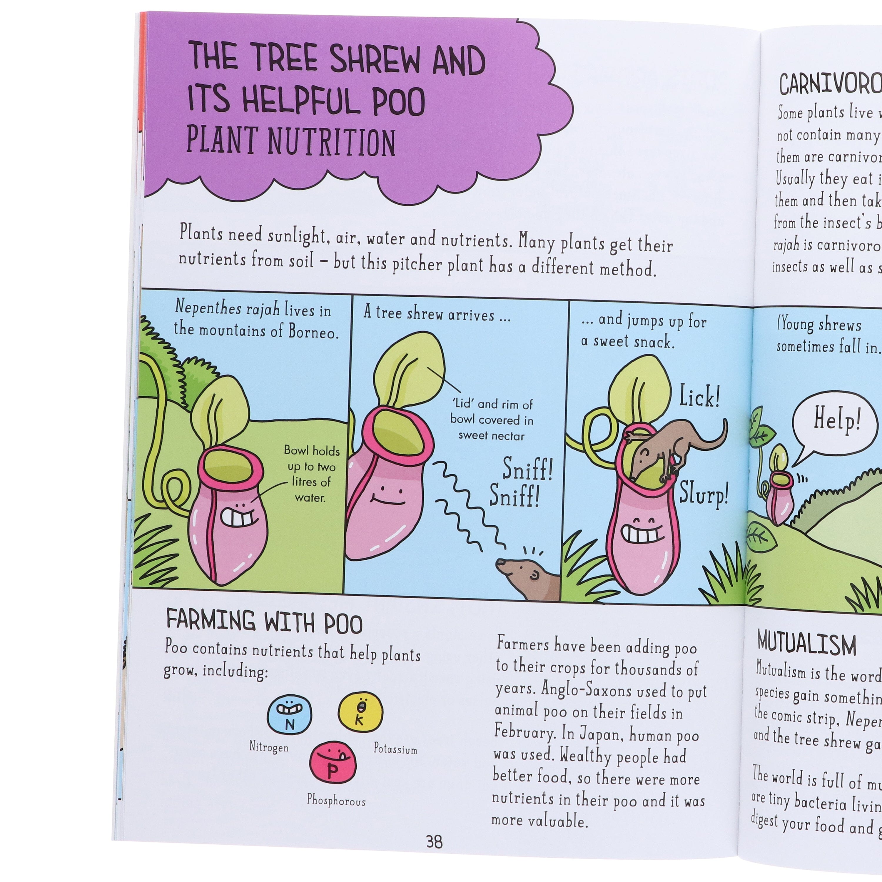 Comic Strip Science Series By Paul Mason: 4 Picture Books