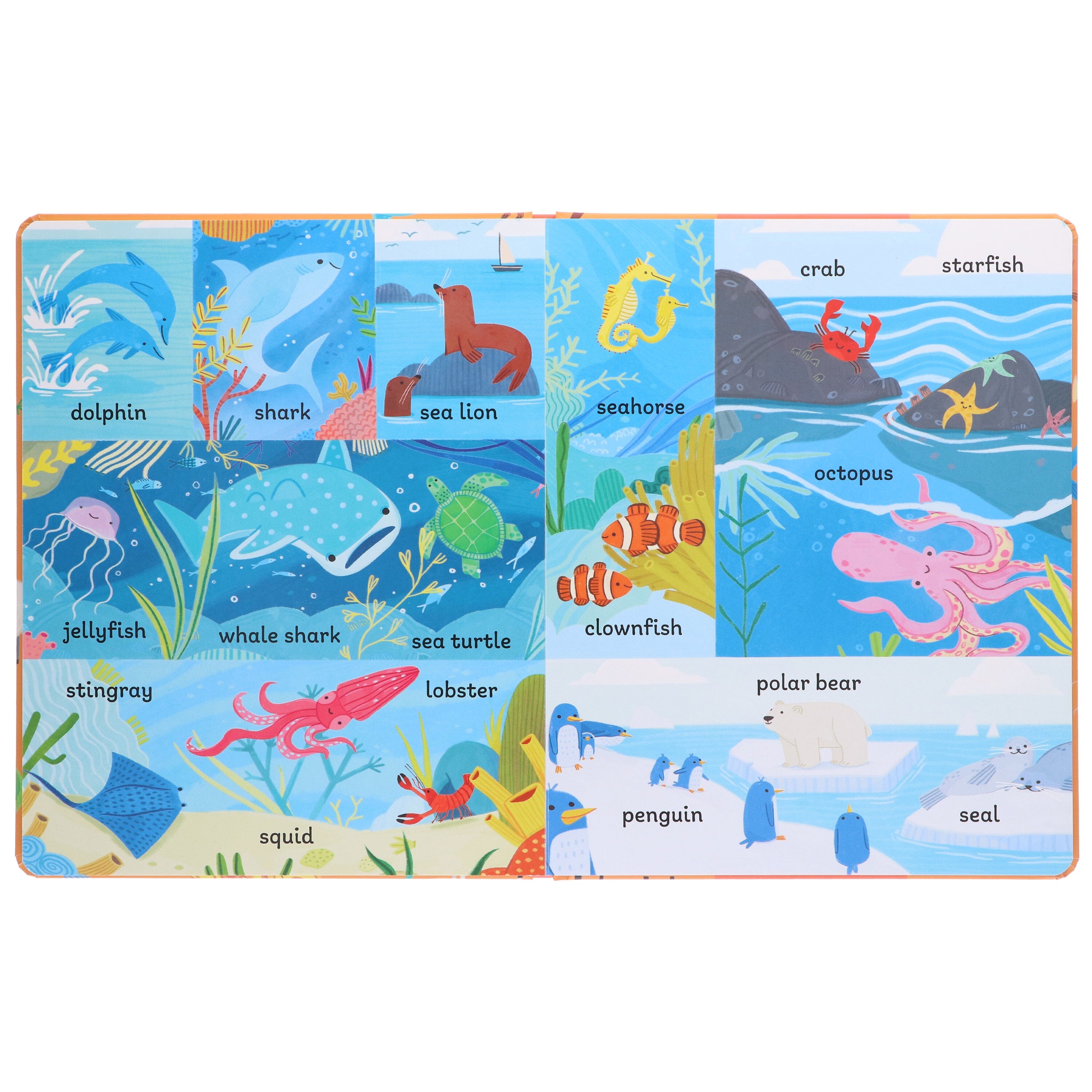 100 First Words Exploring Animals By Sweet Cherry Publishing