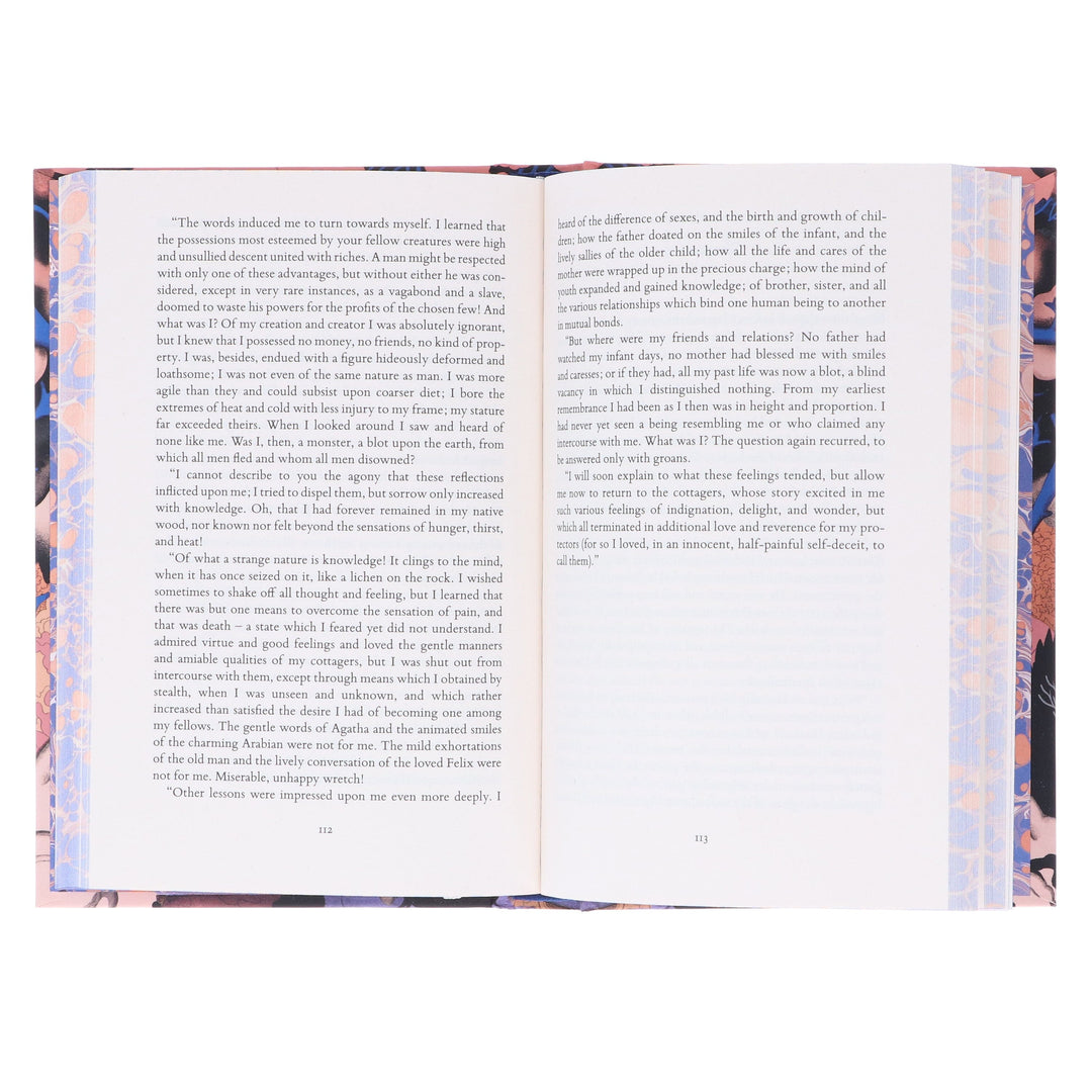 Frankenstein: by Mary Shelley (Vintage Collector's Classics) - Fiction - Sprayed Edge Hardback