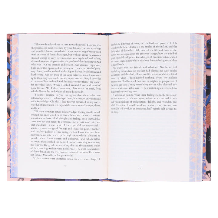 Frankenstein: by Mary Shelley (Vintage Collector's Classics) - Fiction - Sprayed Edge Hardback