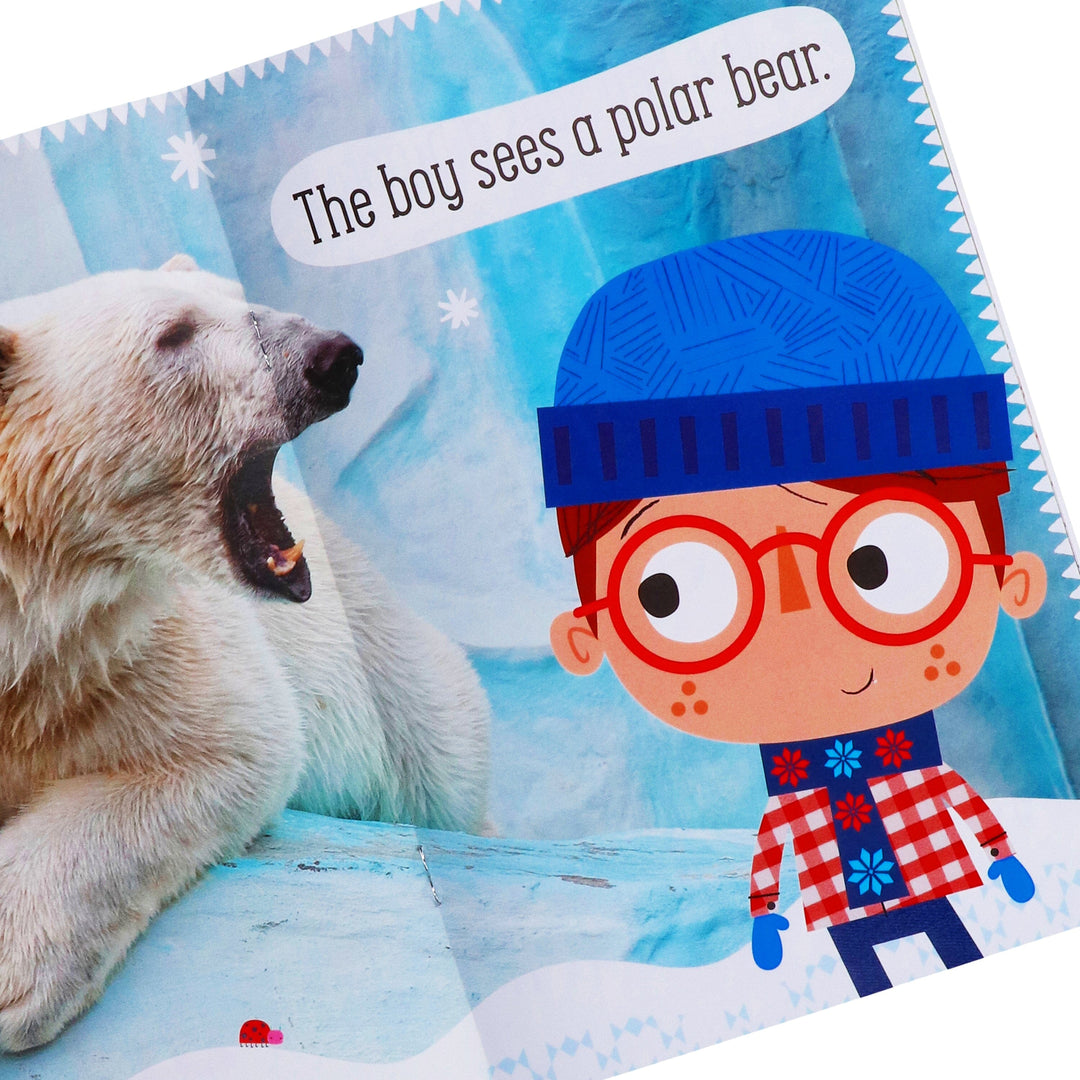Amazing Animals By Make Believe Ideas 10 Readers Box Set - Ages 4+ - Paperback