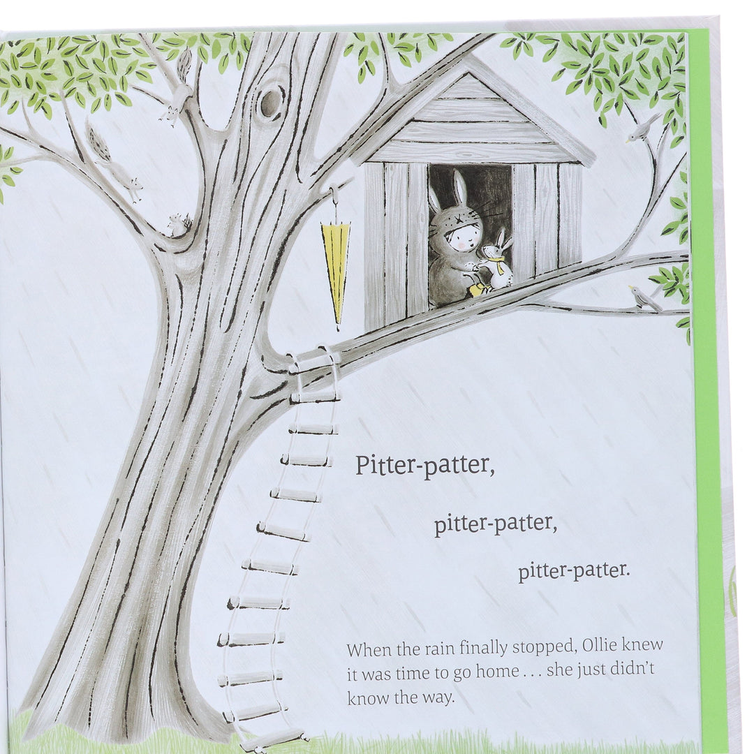 My Little Animal Friend Collection By Nicola Killen: 3 Books Box Set - Ages 4-8 - Hardback