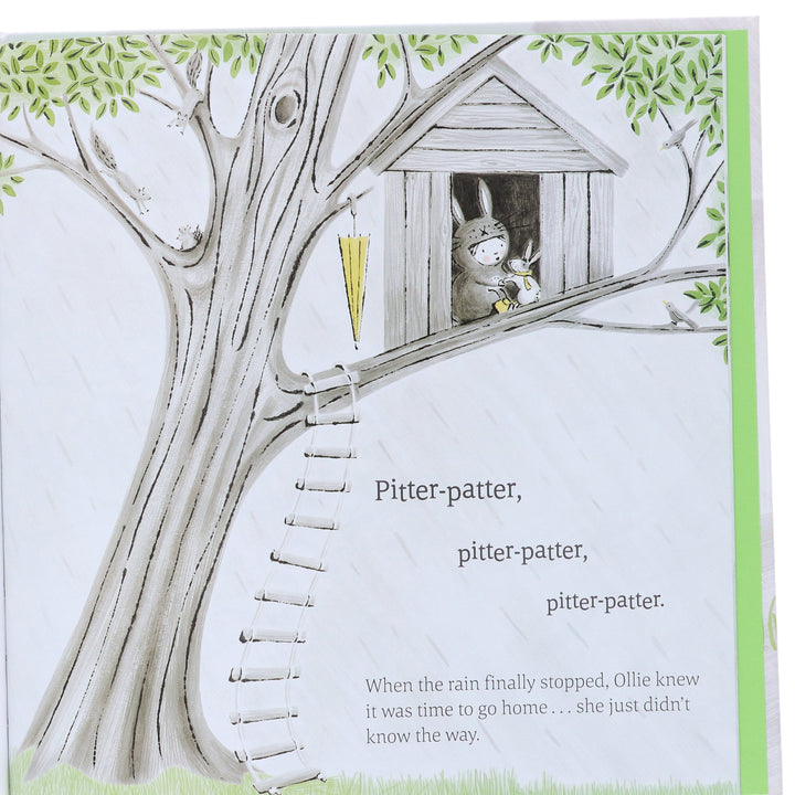 My Little Animal Friend Collection By Nicola Killen: 3 Books Box Set - Ages 4-8 - Hardback