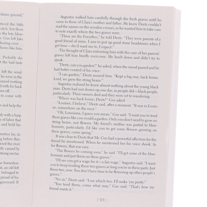 Lonesome Dove Series By Larry McMurtry 4 Books Collection - Fiction - Paperback