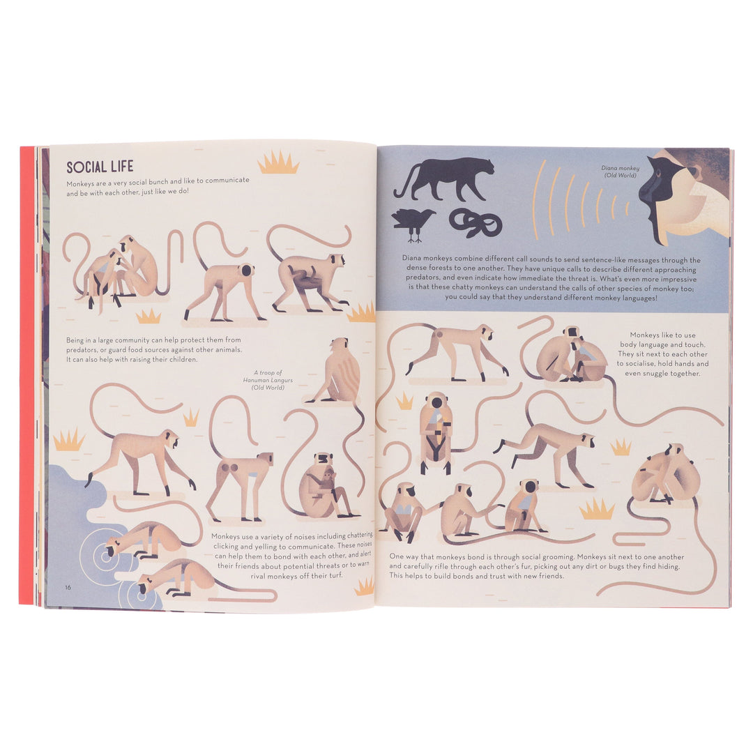 Mad About Monkeys by Owen Davey (About Animals Series) - Ages 7+ - Paperback
