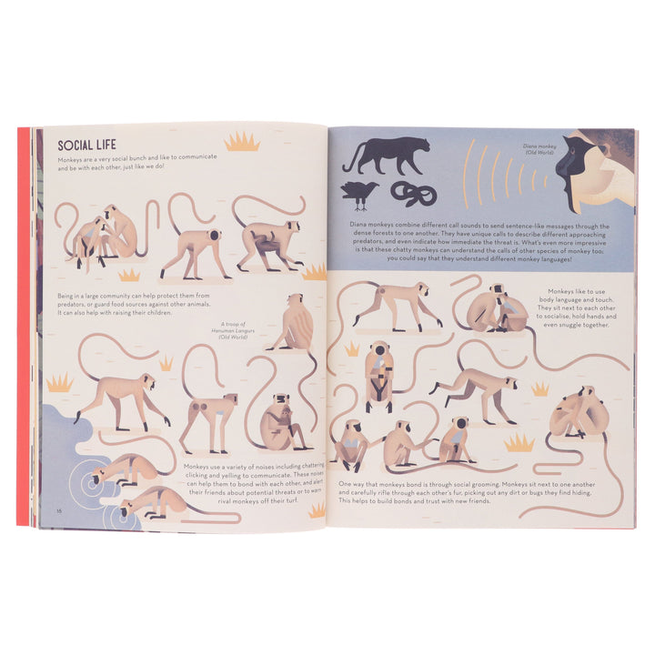 Mad About Monkeys by Owen Davey (About Animals Series) - Ages 7+ - Paperback