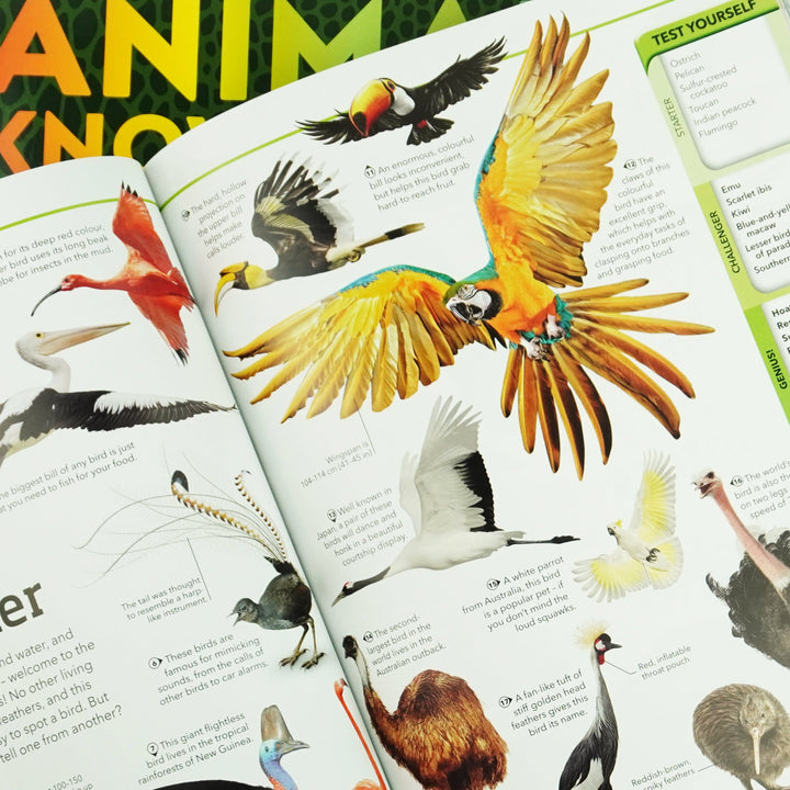 A Quiz Encyclopedia to Boost Your Brain General Knowledge Series by DK: 3 Books Collection Set - Ages 9-12 - Paperback