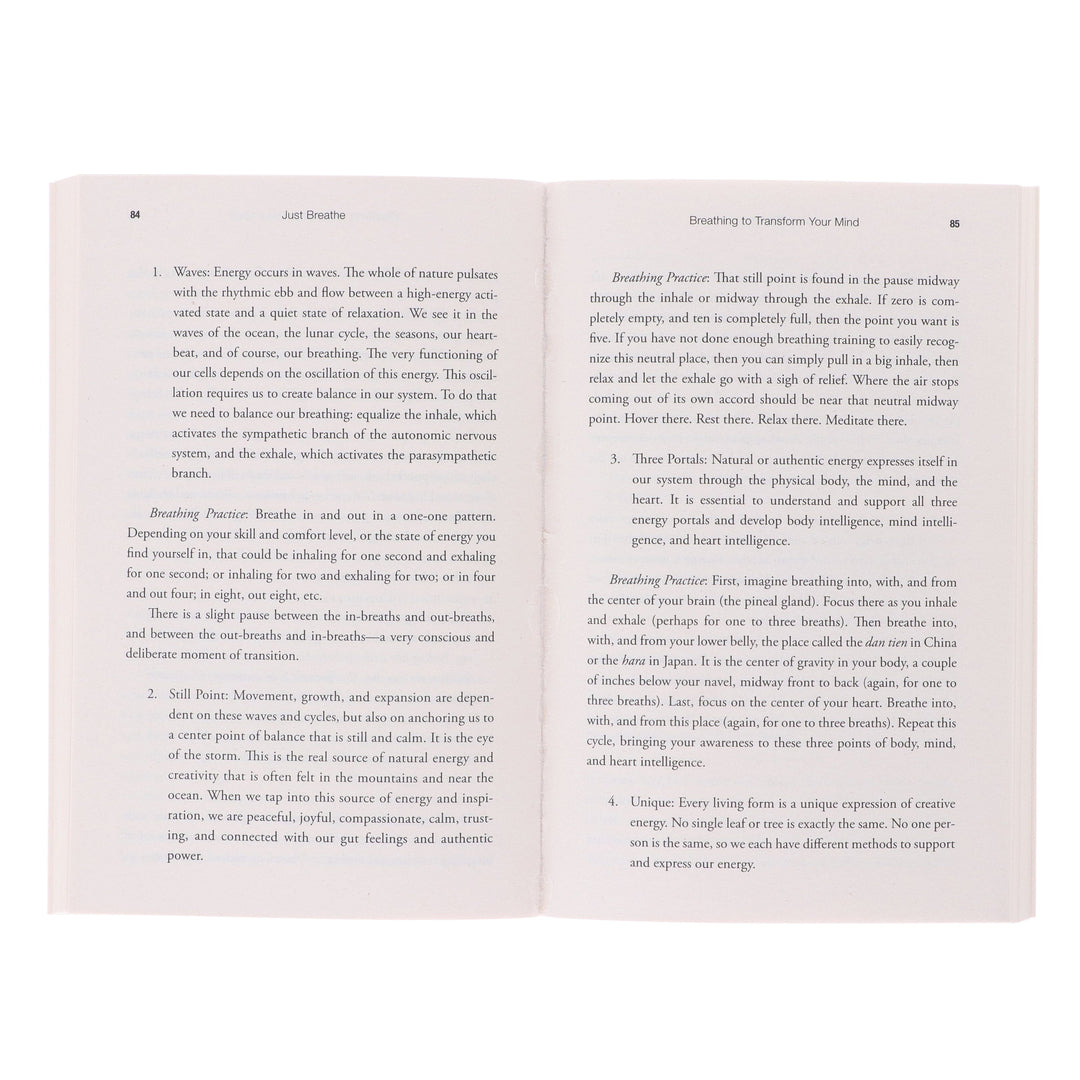 Just Breathe: Mastering Breathwork by Dan Brule - Non Fiction - Paperback